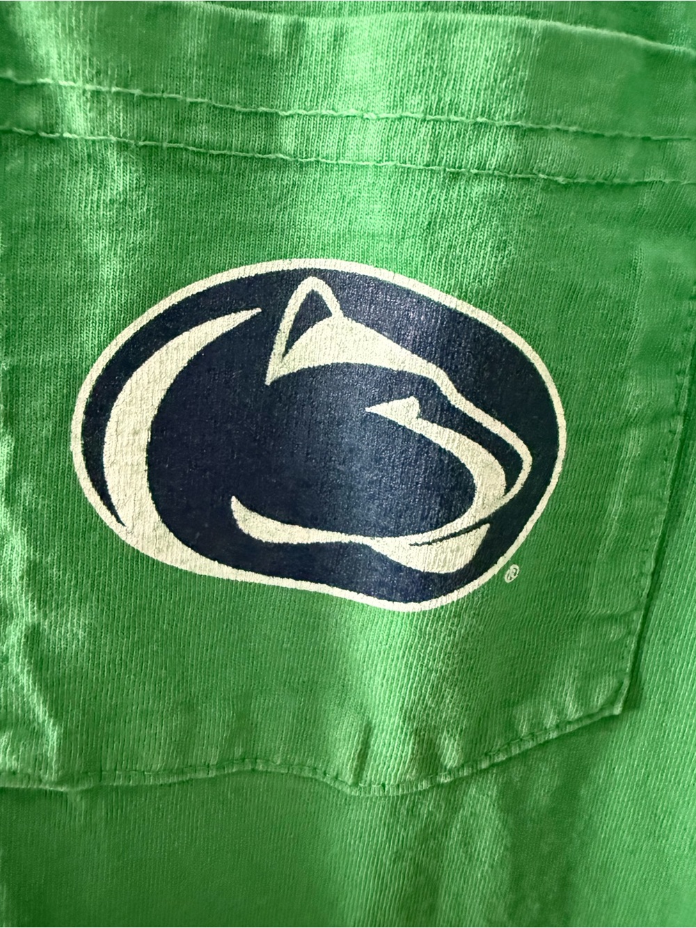 Original Retro Brand Green Tee with Navy and White Logo
